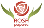 Hotel Rosa Purpurea