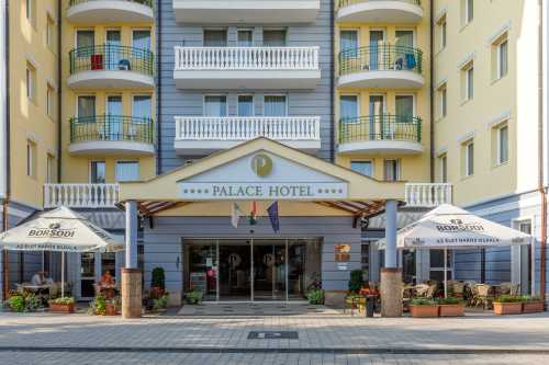 Palace Heviz Hotel3