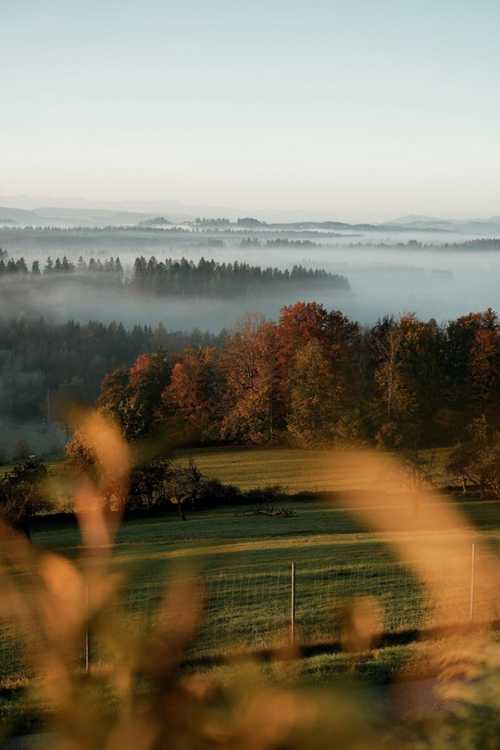 Jaegerhof Panorama4