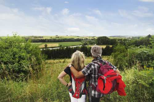 Schwanen Wandern