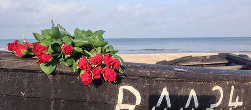Baabe Umgebung Strand Blumen