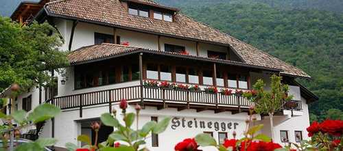 Steinegger Hotel