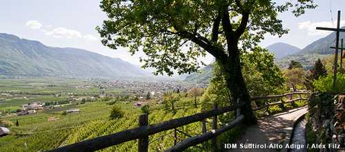 Suedtirol Marlinger Waalweg