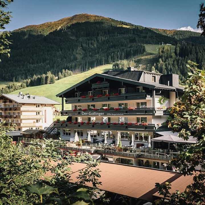 Der Gollinger