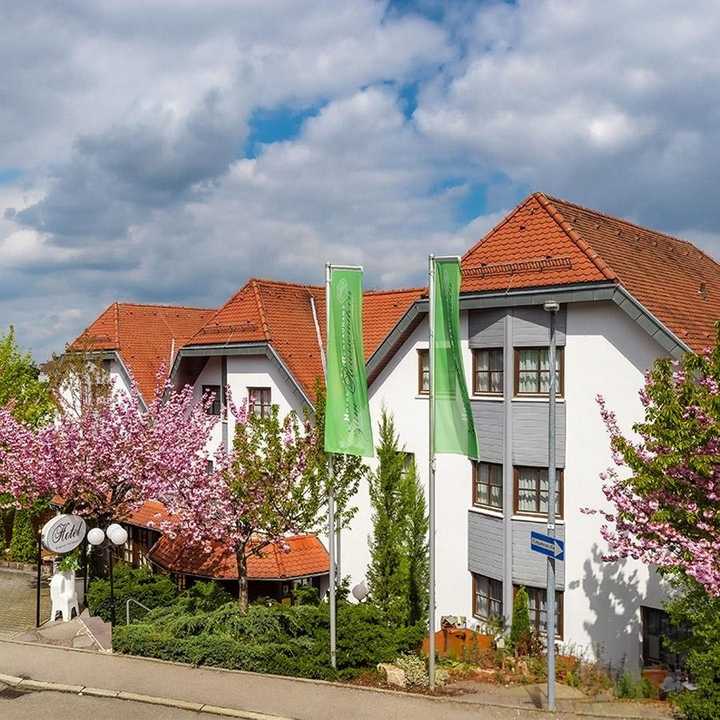 Hotel Zum Reussenstein